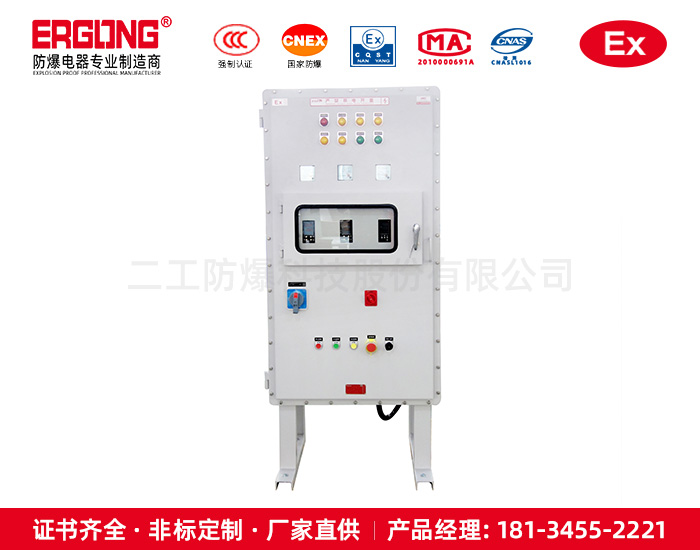 防爆控制箱（柜）-化工廠(chǎng)