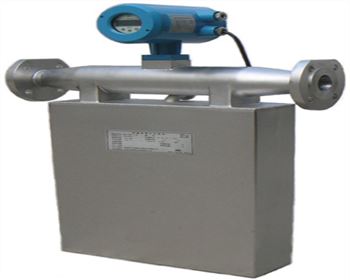 液體質(zhì)量流量計(jì)