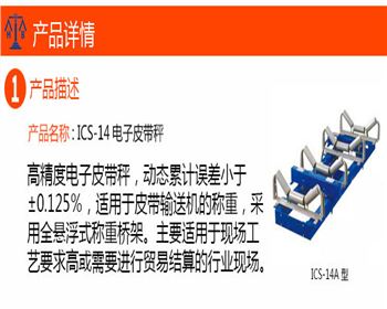 高精度電子皮帶秤 ICS-14型